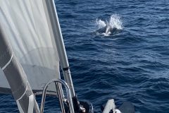 IMG_7729